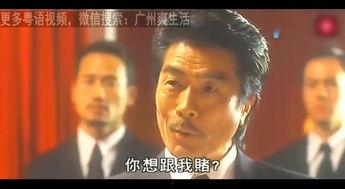 中华赌侠（国语版）