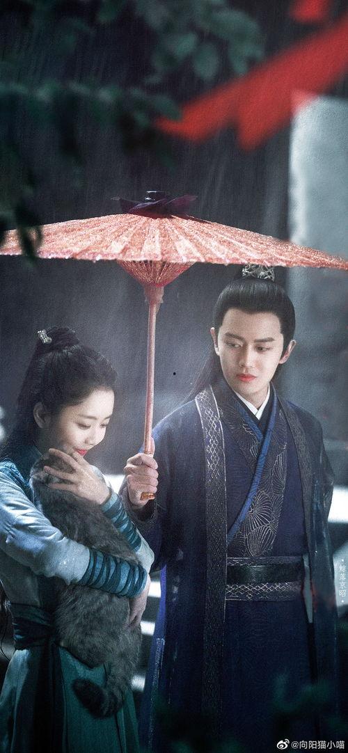 锦衣之下之血滴子,揭秘血滴子背后的神秘力量