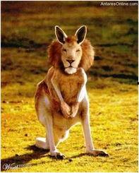 搜索 变种动物园,变种动物园的奇幻之旅