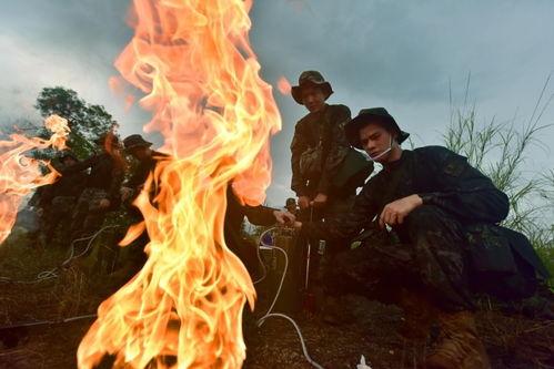 烈焰 2024,燃烧激情，展望未来