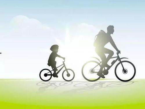 父子连心,传承家国情怀的温馨篇章