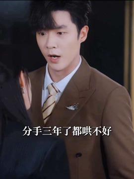 替身秘书厉总别撩了我只是机器人,厉总与替身秘书的理性守护